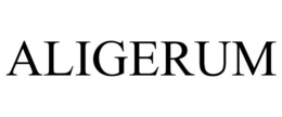 ALIGERUM trademark