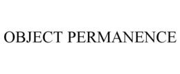 OBJECT PERMANENCE trademark