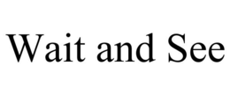 WAIT AND SEE trademark