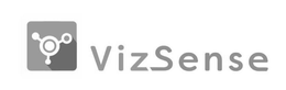 VIZSENSE trademark