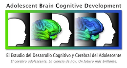 ADOLESCENT BRAIN COGNITIVE DEVELOPMENT EL ESTUDIO DEL DESARROLLO COGNITIVO Y CEREBRAL DEL ADOLESCENTE EL CEREBRO ADOLESCENTE. LA CIENCIA DE HOY. UN FUTURO MÁS BRILLANTE. trademark