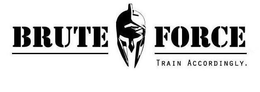 BRUTE FORCE TRAIN ACCORDINGLY. trademark
