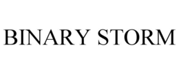 BINARY STORM trademark