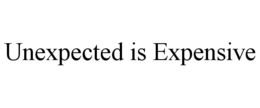 UNEXPECTED IS EXPENSIVE trademark
