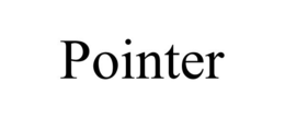 POINTER trademark