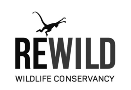 REWILD WILDLIFE CONSERVANCY trademark