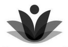V trademark