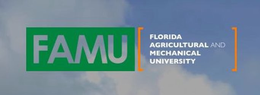 FAMU, FLORIDA AGRICULTURAL MECHANICAL UNIVERSITY trademark