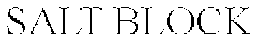 SALT BLOCK trademark