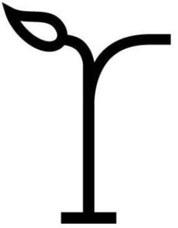 R trademark