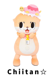 CHIITAN trademark