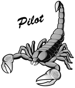 PILOT trademark