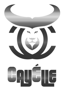 CAYELLE trademark