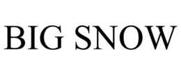 BIG SNOW trademark