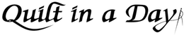 QUILT IN A DAY trademark