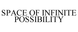SPACE OF INFINITE POSSIBILITY trademark