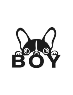 BOY trademark
