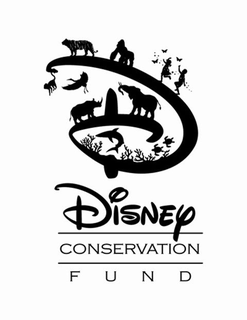 D DISNEY CONSERVATION FUND trademark