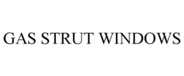 GAS STRUT WINDOWS trademark
