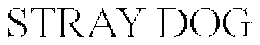 STRAY DOG trademark