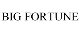 BIG FORTUNE trademark