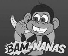 BAM-NANAS trademark