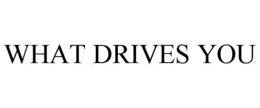 WHAT DRIVES YOU trademark