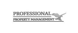 PROFESSIONAL PROPERTY MANAGEMENT trademark