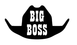 BIG BOSS trademark