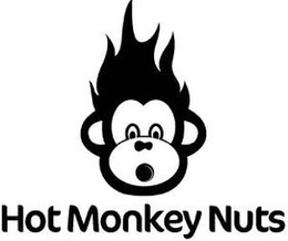 HOT MONKEY NUTS trademark