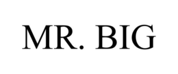 MR. BIG trademark