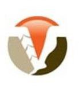 V trademark