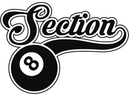 SECTION 8 trademark