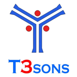 VVV T3SONS trademark