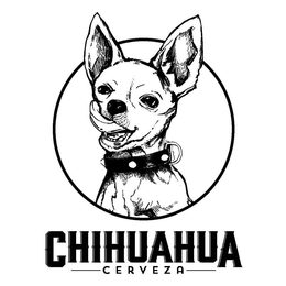 CHIHUAHUA CERVEZA trademark