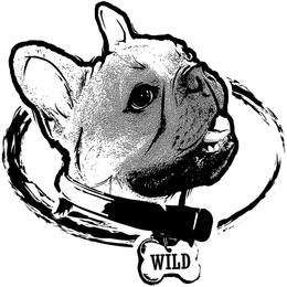 WILD trademark