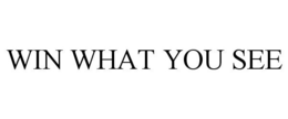 WIN WHAT YOU SEE trademark