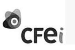 CFEI trademark