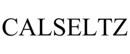 CALSELTZ trademark