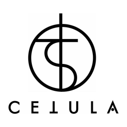 T C CETULA trademark