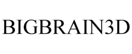 BIGBRAIN3D trademark