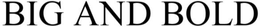 BIG AND BOLD trademark