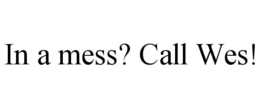 IN A MESS? CALL WES! trademark