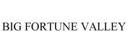 BIG FORTUNE VALLEY trademark