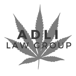 ADLI LAW GROUP trademark