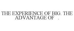 THE EXPERIENCE OF BIG. THE ADVANTAGE OF . trademark