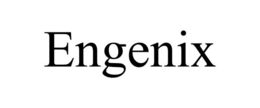 ENGENIX trademark