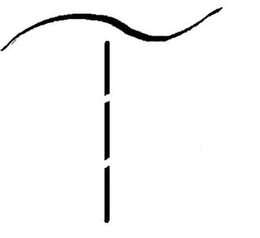 T trademark