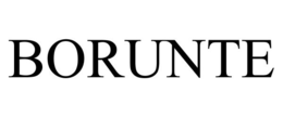 BORUNTE trademark