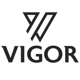 V VIGOR trademark